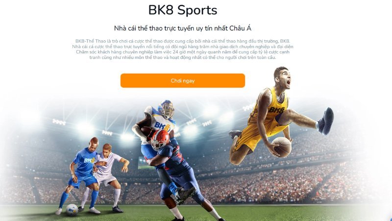 bk8